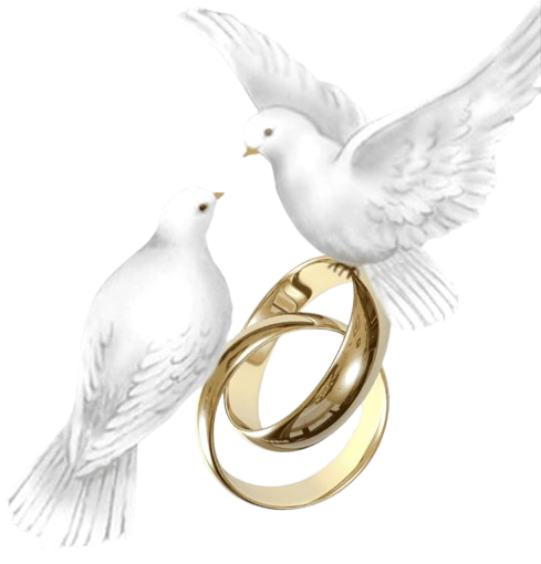 0f40f361f8ad0146edf40a37c829ea37-removebg-preview 0f40f361f8ad0146edf40a37c829ea37-removebg-preview